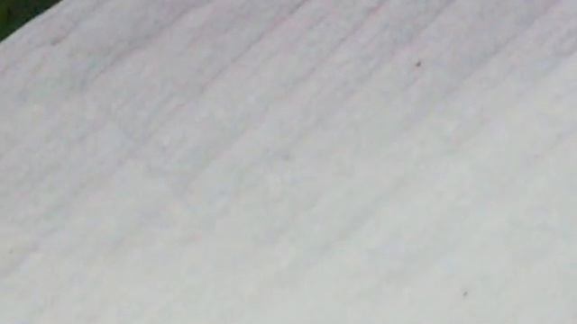 When Lotus Is Opening... смотреть онлайн