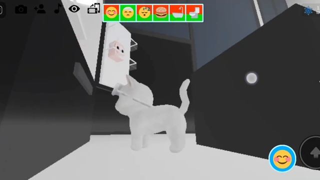 pet party roblox смотреть онлайн