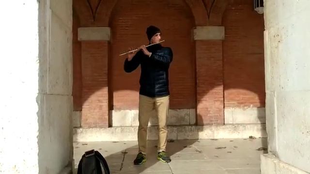El concierto de Aranjuez por un flautista ucraniano смотреть онлайн