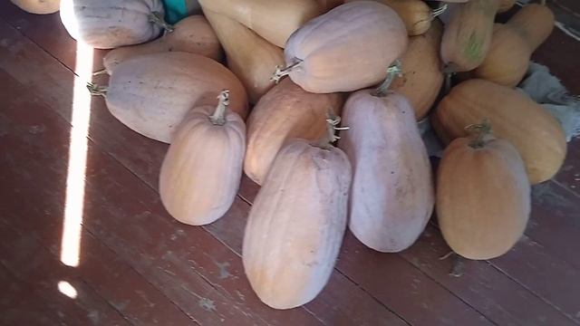 Дача, погода +7 подгоняет...Бердянск Запорожская смотреть онлайн