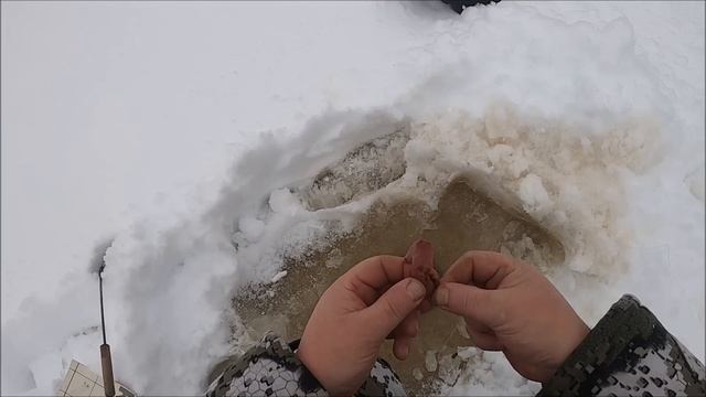 В ПОИСКАХ НАЛИМА / РЫБАЛКА НА ЗАКИДУШКИ смотреть онлайн