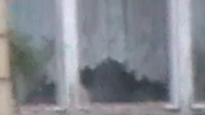 Видеокамера с большим зумом.Тест zoom.Panasonic SDR-H100