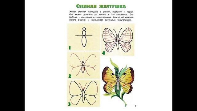 Рисуем бабочку Рисуем с детьми Поэтапное рисование смотреть онлайн