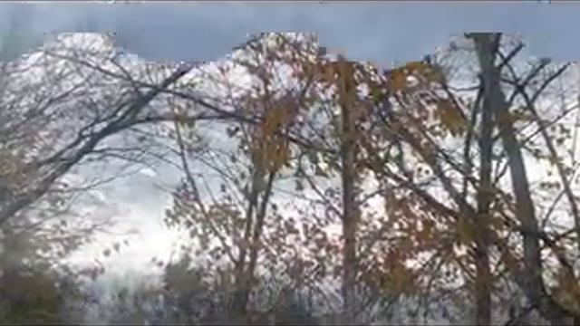 Просто природа смотреть онлайн