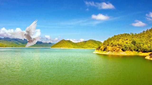 Los cinco minutos del Espíritu Santo Hoy en el CENÁCULO 2023 смотреть онлайн