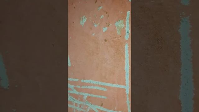 Чистота для всех