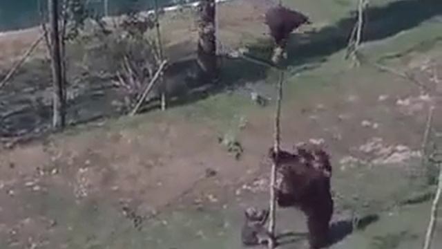 Когда мама пришла с родительского собрания смотреть онлайн