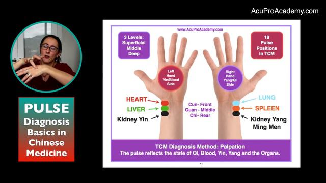 Pulse Diagnosis in Chinese Medicine смотреть онлайн