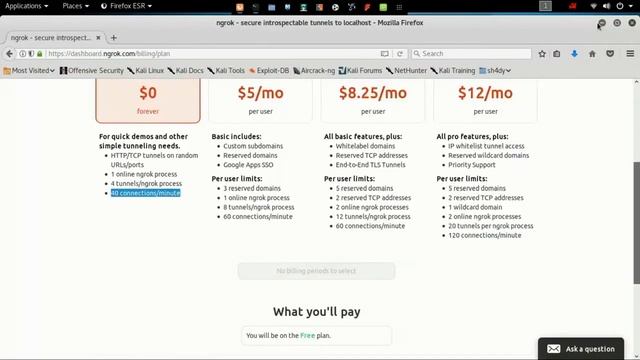 Ngrok  HTTP And TCP Tunnels Port Forwarding