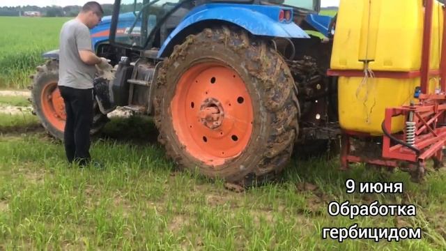 Райграс на семена / От посева до уборки и очистки смотреть онлайн