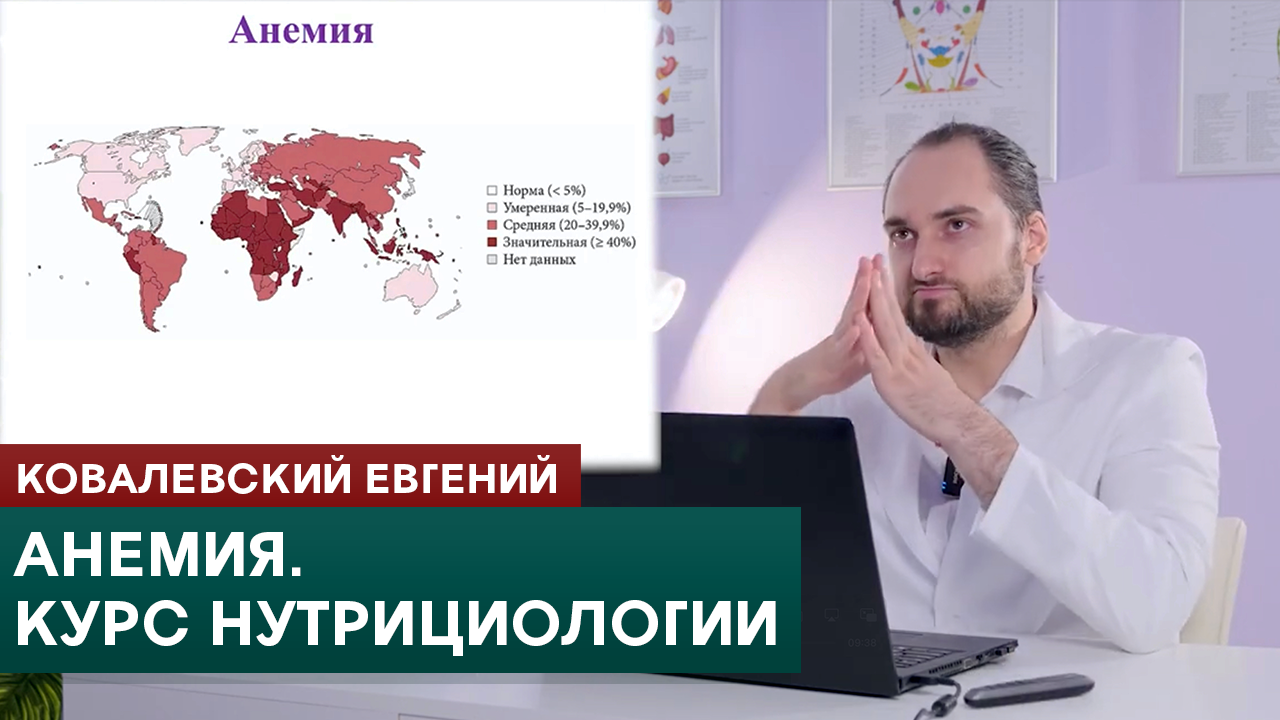 Анемия. Онлайн-курс по нутрициологии. Клинические и биохимические анализы крови и мочи. смотреть онлайн