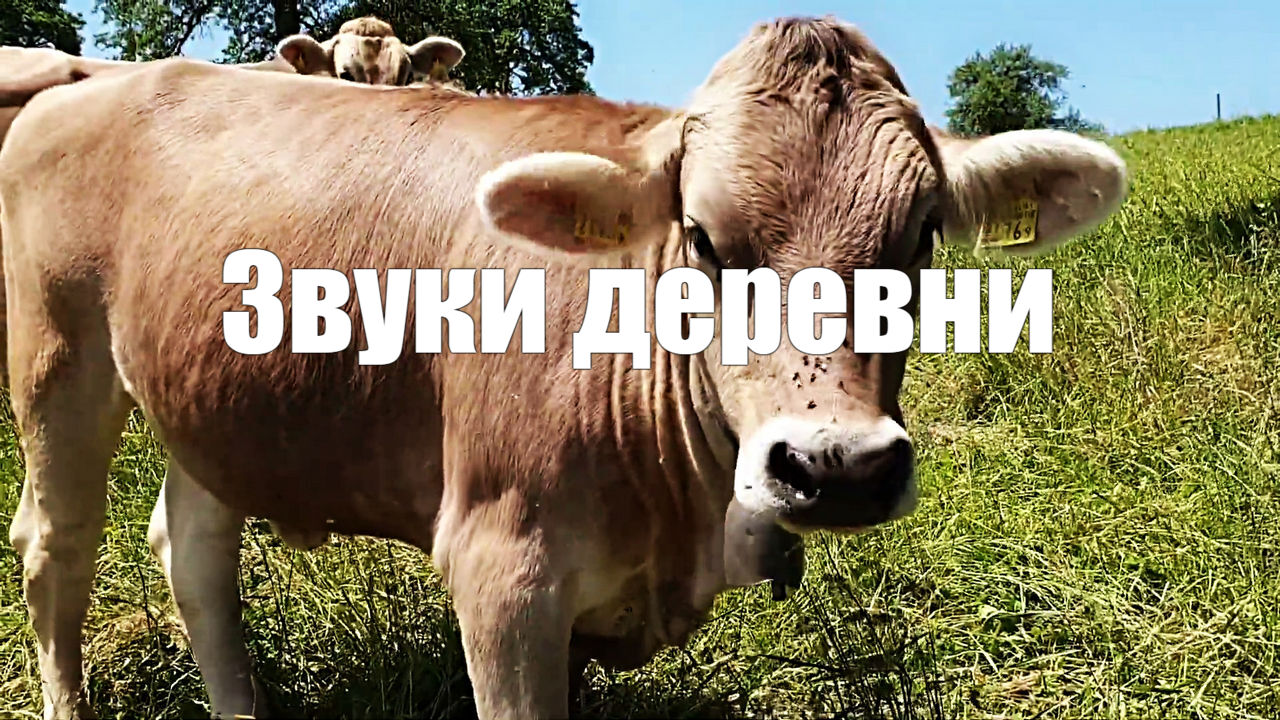 Звуки деревни L Пение птиц и звуки домашних животных