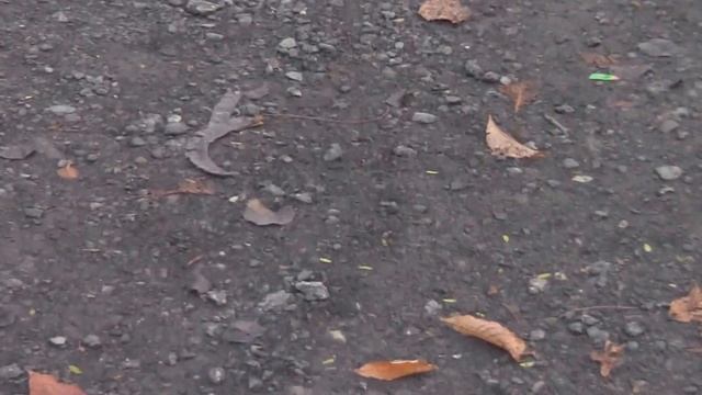 КСМ: Олимпиада? Не, не слышали... смотреть онлайн