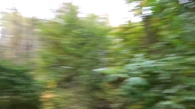 24 ЧАСА В ЗАБРОШЕННОМ ЛАГЕРЕ С КОТОМ И СОБАКОЙ | ЗА НАМИ СЛЕДЯТ... смотреть онлайн