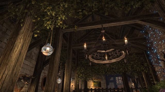 The Elder Scrolls Online - Vestige of Hope смотреть онлайн