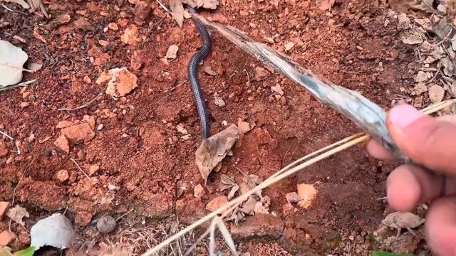 Build UNDERGROUND STONE HOUSE With Fireplace, Camping, Cooking, Nature Sounds, Diy, Asmr