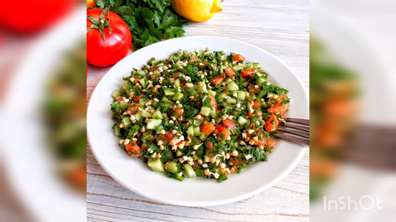 Разумное Человечество