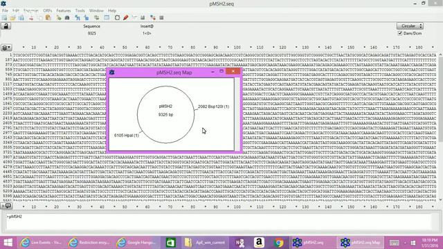 ApE Resitriction enzyme analysis of plasmids смотреть онлайн