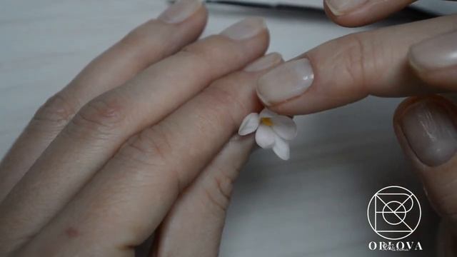 гиацинт создание цветов и бутонов смотреть онлайн