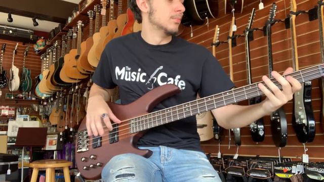 LTD D-4 4 String Bass смотреть онлайн