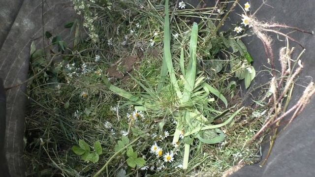 Компостная яма на даче своими руками за 15 мин. Дешевый вариант Вариант смотреть онлайн