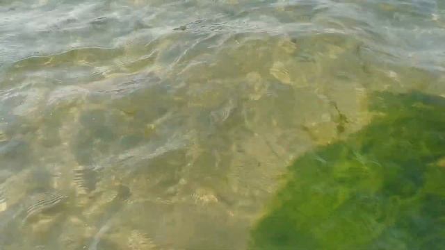Прозрачная вода | Приморье | Балтийское море смотреть онлайн
