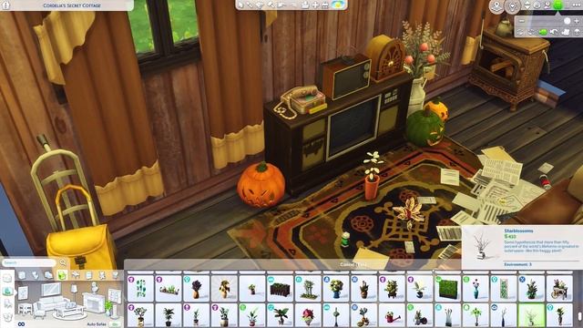 Cordelia's Secret Cottage | Sims 4 Halloween Speed Build | No CC смотреть онлайн