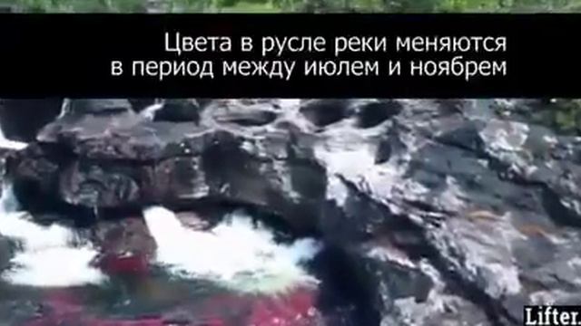 Вот это да! смотреть онлайн