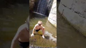 мистер бист мистер бист