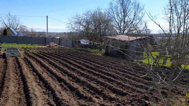 Нарезка борозд под картошку мотоблоком Угра смотреть онлайн