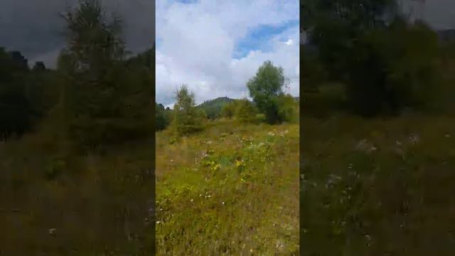 Белозиминск 2020