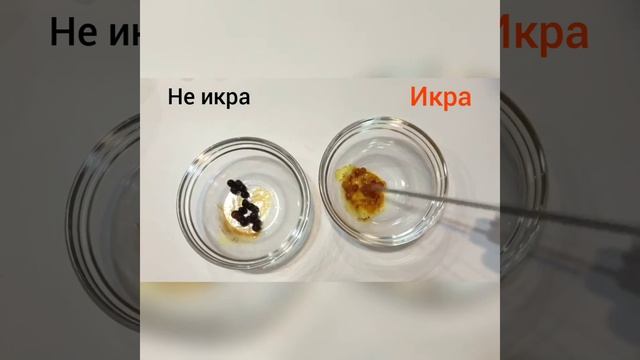 Как выбрать красную икру смотреть онлайн
