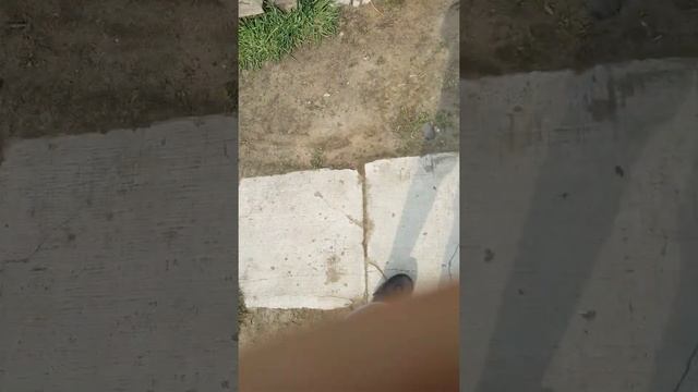колонка смотреть онлайн