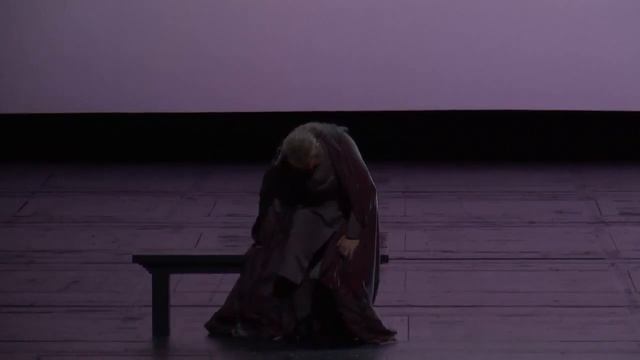 4 июня 2016 Венская опера. Верди «Симон Бокканегра» с русскими субтитрами. Действие 1, сцена 1. смотреть онлайн