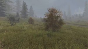 Как начать играть в DAYZ RP STALKER