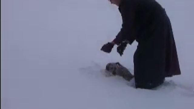 Sherpa in the Snow смотреть онлайн