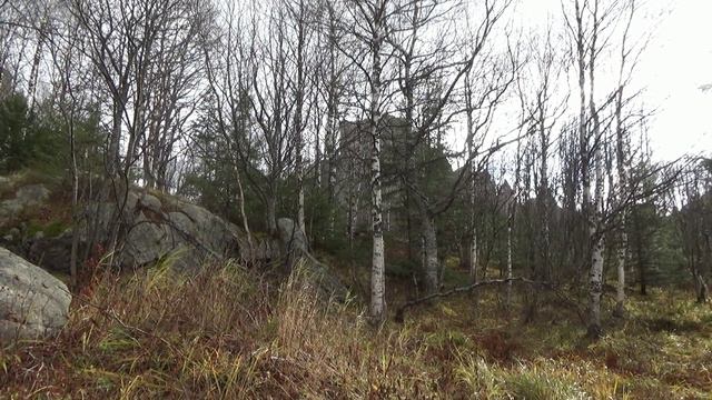 Скалодром смотреть онлайн