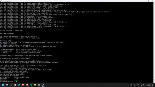 How to upgrade Ubuntu to 23.10 using GUI or command line смотреть онлайн