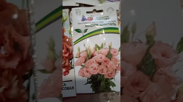 Пришла посылочку с тюльпанами и эустомой. смотреть онлайн
