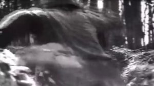 Отто Дикс-Земля