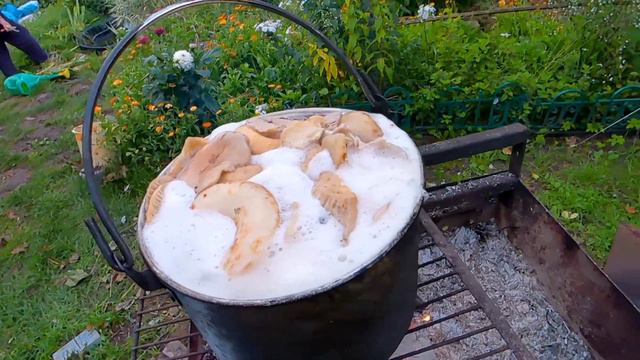 Настройщик в движении