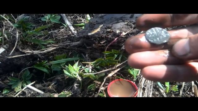 фартовый коп серебряные монеты