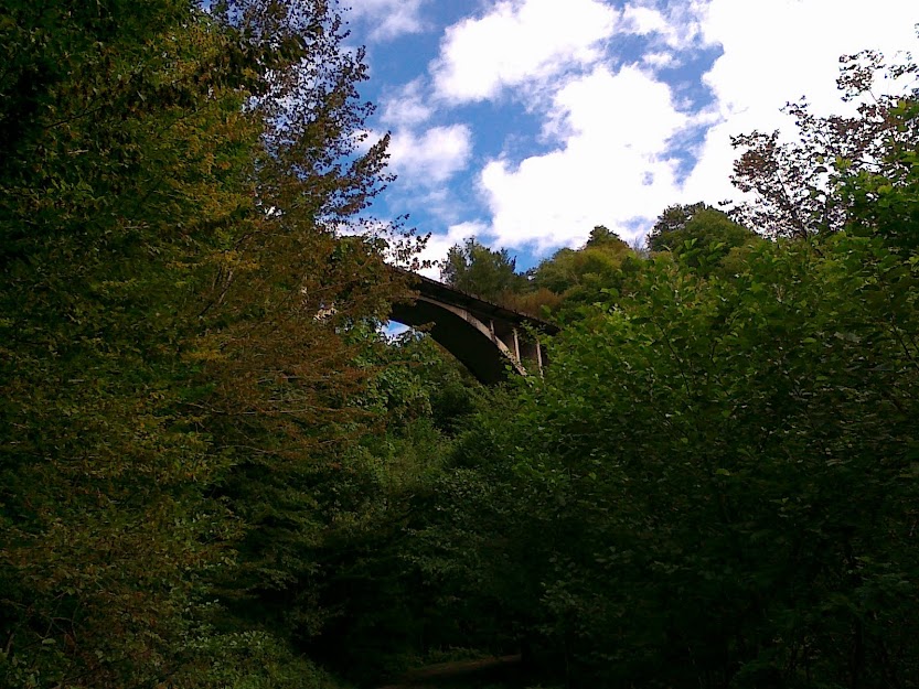 VTS_02_1.VOB_ОКУМ-Афон-СОЧИ.mp4 смотреть онлайн