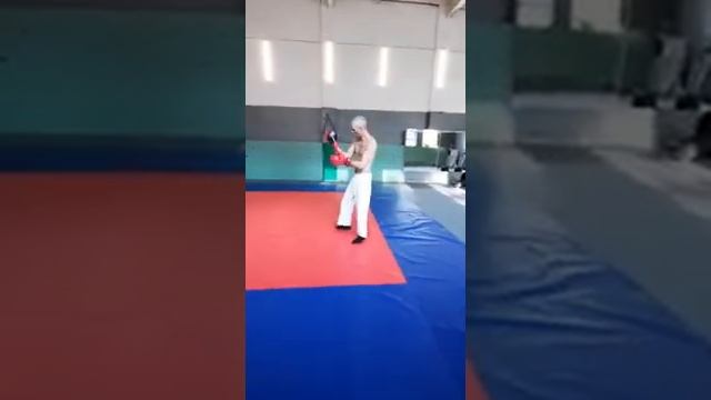 дзю-дзюцу (джиу-джицу)