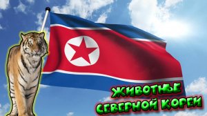 Животные Северной Кореи