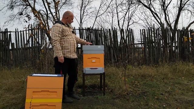 Сбор ульев на зимовку смотреть онлайн