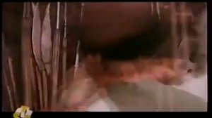 Переключение каналов 1998 год