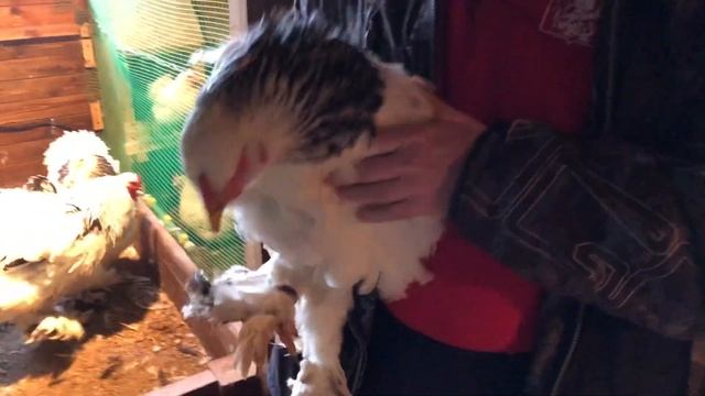 Архитектурные Размышления