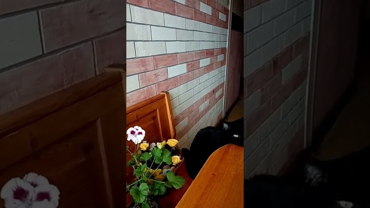 всех девушек поздравляем подарки и поздравления 8 марта