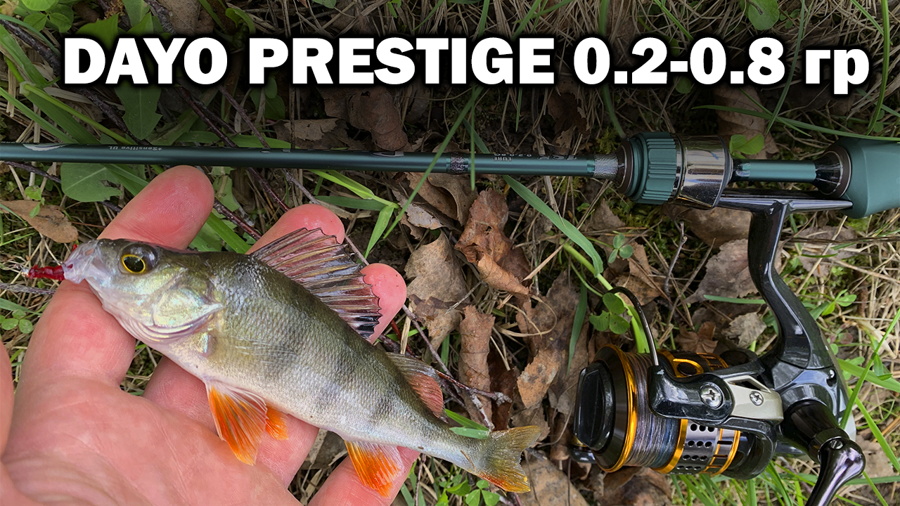 Мормышинг на КИТАЙСКИЙ СПИННИНГ за 2000 руб - DAYO PRESTIGE Рыбалка на Спиннинг смотреть онлайн